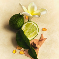 Charlie Beads & Athena Club Scent Wardrobe R7